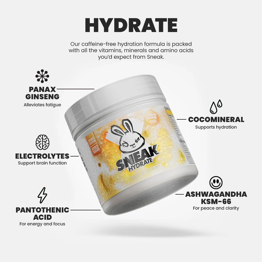 BREAKFAST ORANGE HYDRATE - Image 3